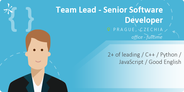 Team Lead - Senior Software Developer