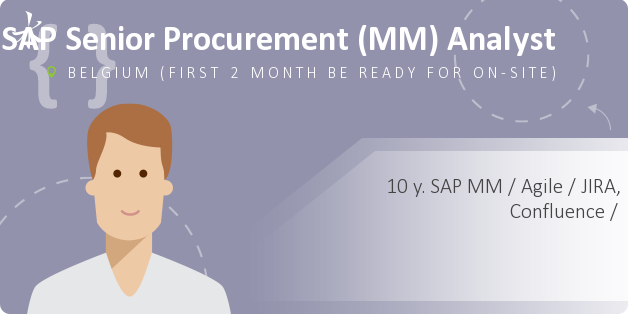 SAP Senior Procurement (MM) Analyst